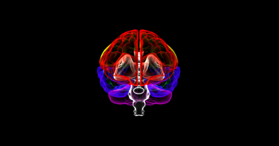 Neuroplasticità: come allenare il cervello