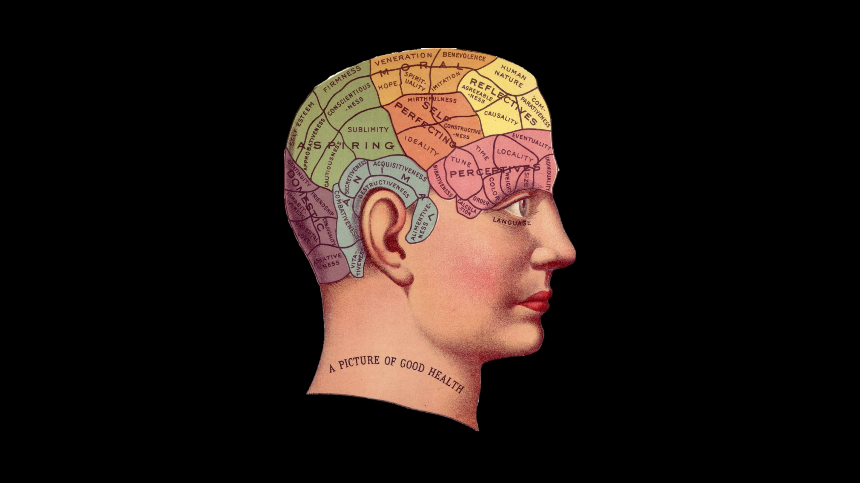 Dimenticare per migliorare le performance -BrainLab