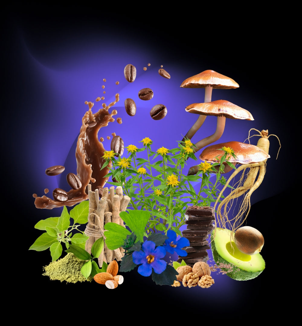 BRAINLAB: INTEGRATORI NOOTROPI NATURALI